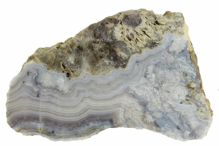 Sowbelly Agate (Amethyst) Slab - Colorado #236598